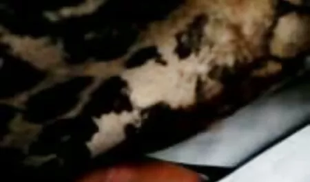 Pikaper porno casero en español latino experimentado encantadoramente caliente