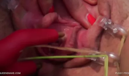 Calvo los mejores videos de porno latino para niñas