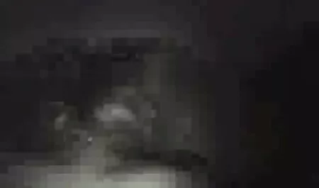 Dos pájaros porno anime latino